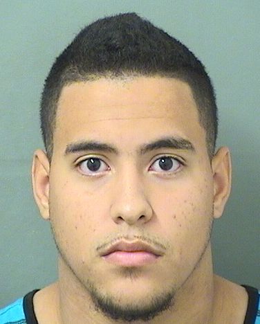  ELIO JOSUE GONZALEZ Results from Palm Beach County Florida for  ELIO JOSUE GONZALEZ