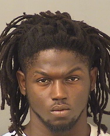  ROBERT LEE Jr ALLEN Results from Palm Beach County Florida for  ROBERT LEE Jr ALLEN