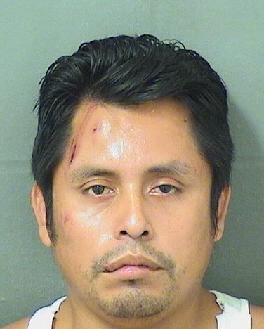  SANTOS GARCIADELACRUZ Results from Palm Beach County Florida for  SANTOS GARCIADELACRUZ