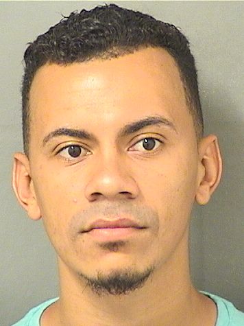  ARIEL ANTONIO HERNANDEZ Results from Palm Beach County Florida for  ARIEL ANTONIO HERNANDEZ