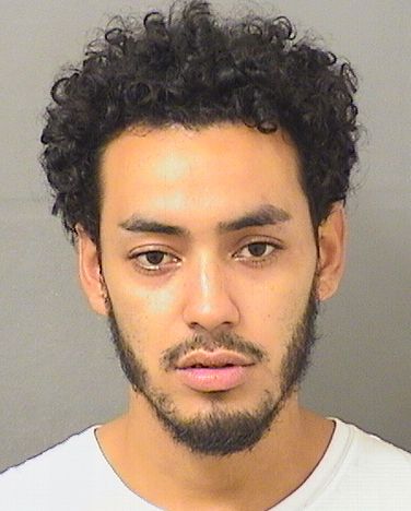  MARIO ENRIQUE AREVALOHERNANDEZ Results from Palm Beach County Florida for  MARIO ENRIQUE AREVALOHERNANDEZ