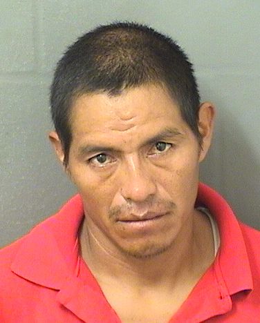  RIGOBERTO ORDONEZ VELASQUEZ Results from Palm Beach County Florida for  RIGOBERTO ORDONEZ VELASQUEZ