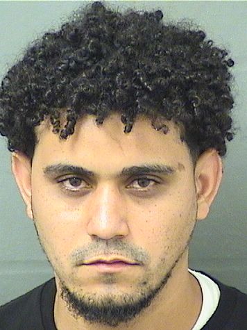  ARAMIS LEONARD CASTILLO Results from Palm Beach County Florida for  ARAMIS LEONARD CASTILLO