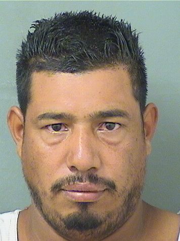  SAMUEL EFRAN RODRIGUEZTORRES Results from Palm Beach County Florida for  SAMUEL EFRAN RODRIGUEZTORRES