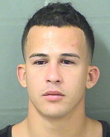  ROGEL VAR Results from Palm Beach County Florida for  ROGEL VAR