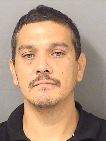  BLAS M VALDESPINO Results from Palm Beach County Florida for  BLAS M VALDESPINO