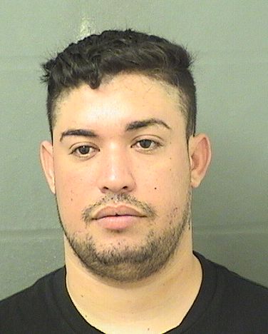  ARMANDO RAMOSLAUZAO Results from Palm Beach County Florida for  ARMANDO RAMOSLAUZAO