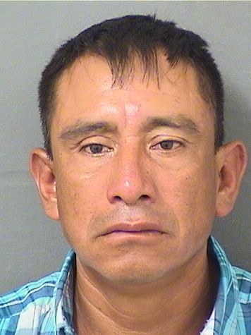  FIDEL PASTOROXLAJ Results from Palm Beach County Florida for  FIDEL PASTOROXLAJ