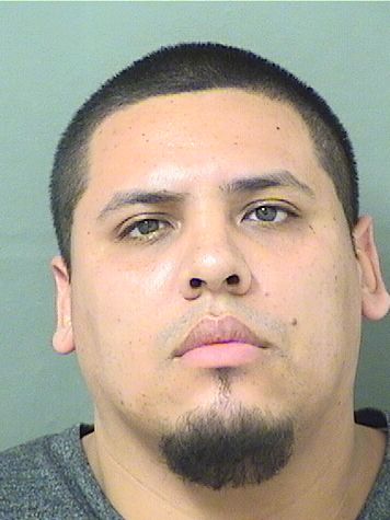  ANDREW STEVEN ARCE Results from Palm Beach County Florida for  ANDREW STEVEN ARCE