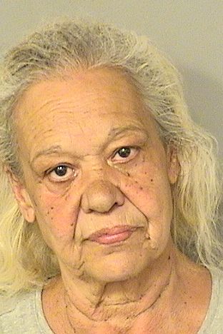  ALICIA DOMINGUEZ Results from Palm Beach County Florida for  ALICIA DOMINGUEZ