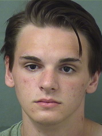  AUSTIN JAY ALEXANDER Results from Palm Beach County Florida for  AUSTIN JAY ALEXANDER