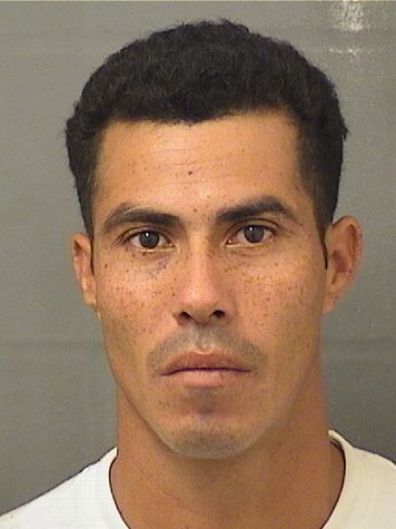  MARCOS FREDY MEJIAANTUNEZ Results from Palm Beach County Florida for  MARCOS FREDY MEJIAANTUNEZ