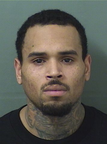 CHRISTOPHER M BROWN Results from Palm Beach County Florida for CHRISTOPHER M BROWN CHRISTOPHER M BROWN Results from Palm Beach County Florida for CHRISTOPHER M BROWN