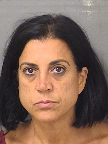  DENISE MARIE IANNIELLO Results from Palm Beach County Florida for  DENISE MARIE IANNIELLO