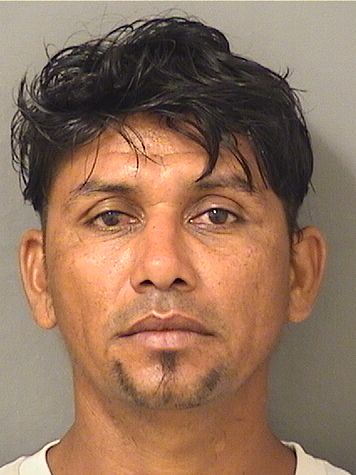 DAVID ADGUSTO CONTRERASORELLANA Results from Palm Beach County Florida for DAVID ADGUSTO CONTRERASORELLANA DAVID ADGUSTO CONTRERASORELLANA Results from Palm Beach County Florida for DAVID ADGUSTO CONTRERASORELLANA