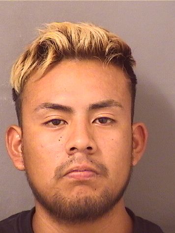  JOCONIAS MORALESBARTOLON Resultados de la busqueda para Palm Beach County Florida para  JOCONIAS MORALESBARTOLON