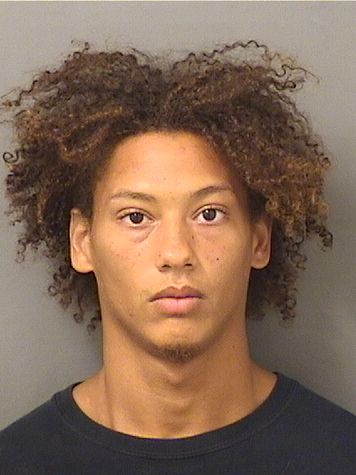  JORDAN AARON BREWER Results from Palm Beach County Florida for  JORDAN AARON BREWER