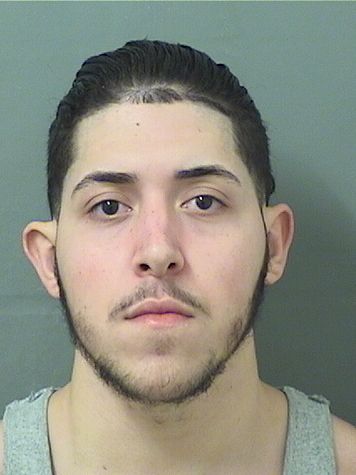  MATHEW LUCAS OLIVA Results from Palm Beach County Florida for  MATHEW LUCAS OLIVA