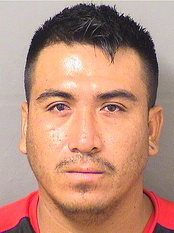  HERIBERTO NAVA Results from Palm Beach County Florida for  HERIBERTO NAVA