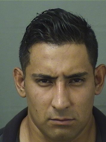  BENJAMIN MANUEL REGANLARMAND Results from Palm Beach County Florida for  BENJAMIN MANUEL REGANLARMAND