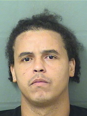  ISRAEL ZORRILLARODRIGUEZ Resultados de la busqueda para Palm Beach County Florida para  ISRAEL ZORRILLARODRIGUEZ