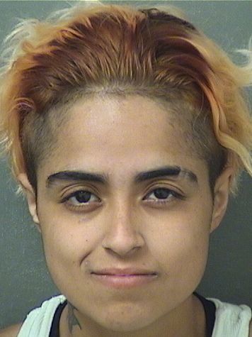  LUZMARI RIOS Resultados de la busqueda para Palm Beach County Florida para  LUZMARI RIOS