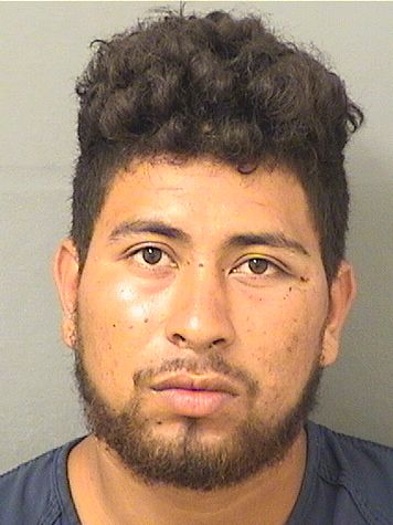  VICTOR BRYAN LOPEZSTAMBO Results from Palm Beach County Florida for  VICTOR BRYAN LOPEZSTAMBO