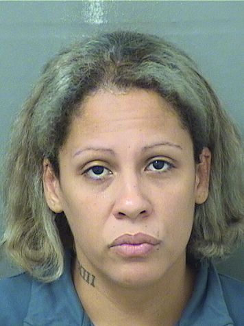  AMNERIS RAMOS Results from Palm Beach County Florida for  AMNERIS RAMOS