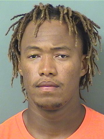  CARLOS RAFAEL DIAZMIESES Results from Palm Beach County Florida for  CARLOS RAFAEL DIAZMIESES