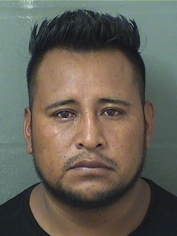  WALTER MEJIA Results from Palm Beach County Florida for  WALTER MEJIA