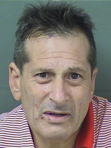  DAVID S COTT Results from Palm Beach County Florida for  DAVID S COTT