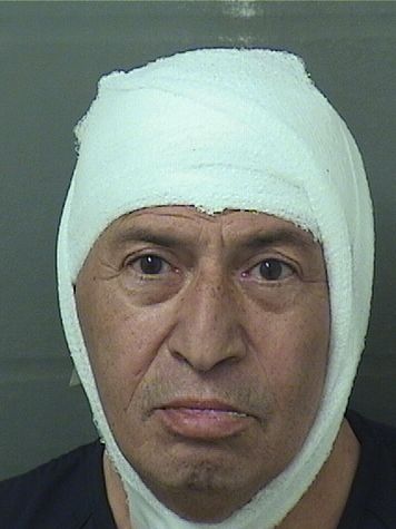  DENNIS NOVICK Results from Palm Beach County Florida for  DENNIS NOVICK