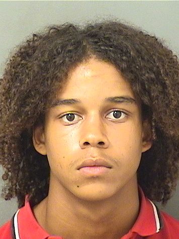 JONATHON M FLOWERS Results from Palm Beach County Florida for JONATHON M FLOWERS JONATHON M FLOWERS Results from Palm Beach County Florida for JONATHON M FLOWERS