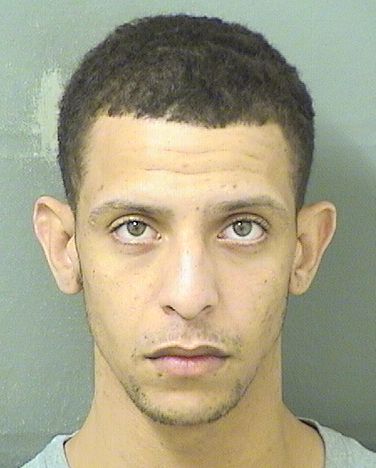  MARIO LUIS ARESTUCHEGARCIA Results from Palm Beach County Florida for  MARIO LUIS ARESTUCHEGARCIA