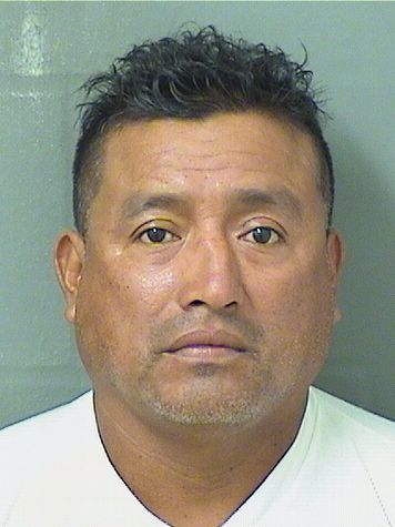  JOSE REYES OLANGOMEZ Results from Palm Beach County Florida for  JOSE REYES OLANGOMEZ