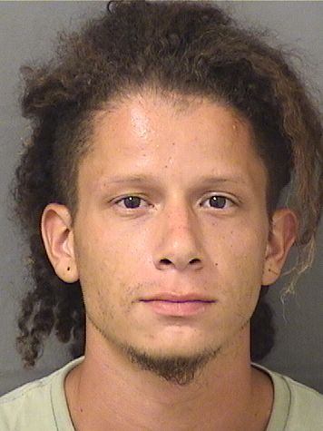  LUIS EDUARDO GARCIA Results from Palm Beach County Florida for  LUIS EDUARDO GARCIA