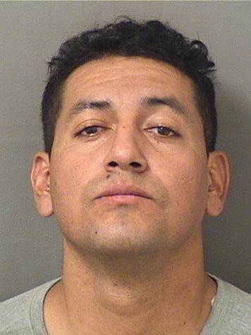  MARVIN ALEJANDRO RAMIREZALVAREZ Results from Palm Beach County Florida for  MARVIN ALEJANDRO RAMIREZALVAREZ