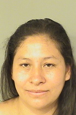  ANA GLADYS TOMASLOPEZ Results from Palm Beach County Florida for  ANA GLADYS TOMASLOPEZ