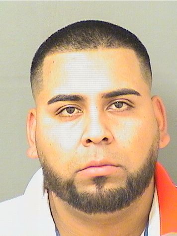  ALEJANDRO PEREZZAVALA Results from Palm Beach County Florida for  ALEJANDRO PEREZZAVALA