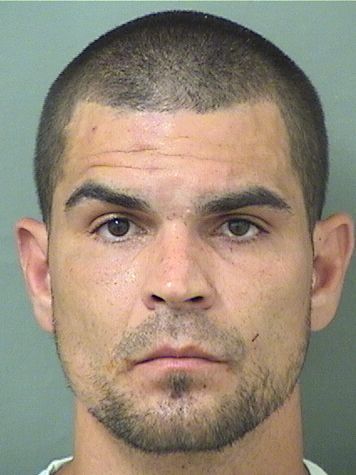  SEBASTIAN EMERIC Results from Palm Beach County Florida for  SEBASTIAN EMERIC