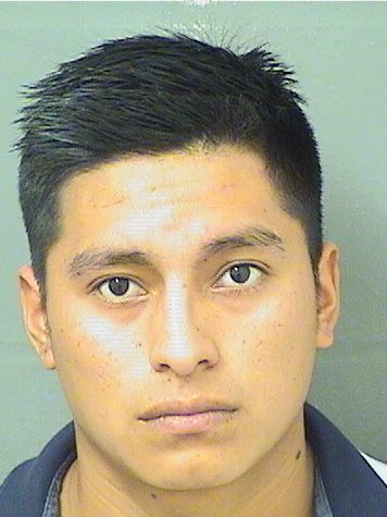  MATEO MIGUEL VALENTIN Results from Palm Beach County Florida for  MATEO MIGUEL VALENTIN