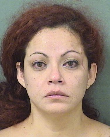  ROBERTA PAOLA ULLOAGALVEZ Results from Palm Beach County Florida for  ROBERTA PAOLA ULLOAGALVEZ