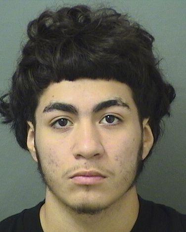  GAVINO PEREZ Resultados de la busqueda para Palm Beach County Florida para  GAVINO PEREZ