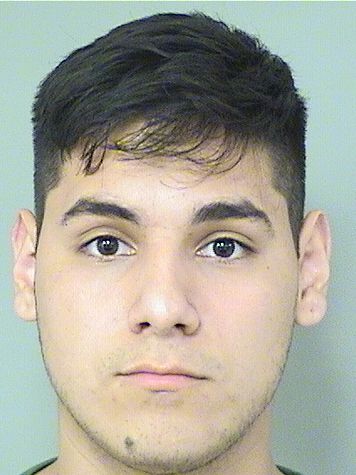  JUAN PABLO MUJICA Results from Palm Beach County Florida for  JUAN PABLO MUJICA