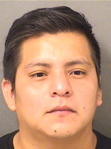  GUSTAVO A LOPEZ Results from Palm Beach County Florida for  GUSTAVO A LOPEZ