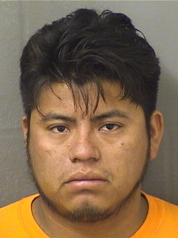  DAVID GREGORIOSANTOS Results from Palm Beach County Florida for  DAVID GREGORIOSANTOS