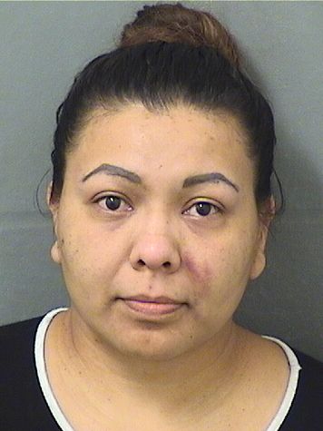  LIDIA FLORES RUIZ Results from Palm Beach County Florida for  LIDIA FLORES RUIZ