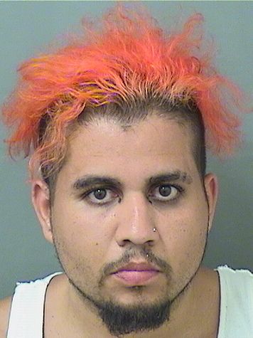  MARCOS A RAMOS Results from Palm Beach County Florida for  MARCOS A RAMOS