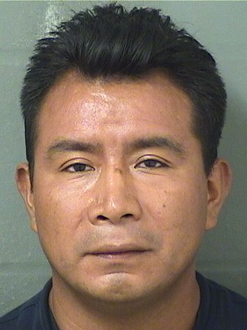  AMILCAR MANOLO JIMENEZ JIMENEZ Results from Palm Beach County Florida for  AMILCAR MANOLO JIMENEZ JIMENEZ