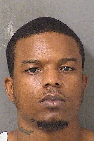  MICHAELSON JEAN Resultados de la busqueda para Palm Beach County Florida para  MICHAELSON JEAN